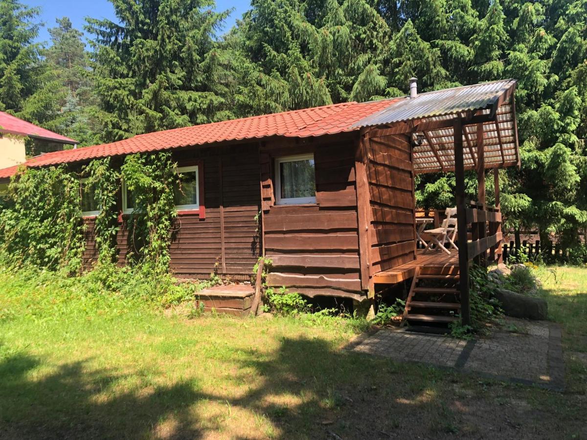 Villa Gosciniec Pod Debem à Wilimy Extérieur photo