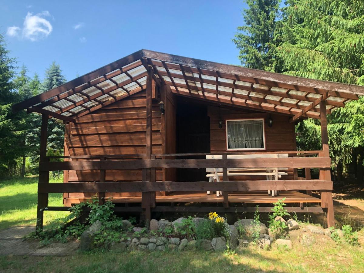 Villa Gosciniec Pod Debem à Wilimy Extérieur photo