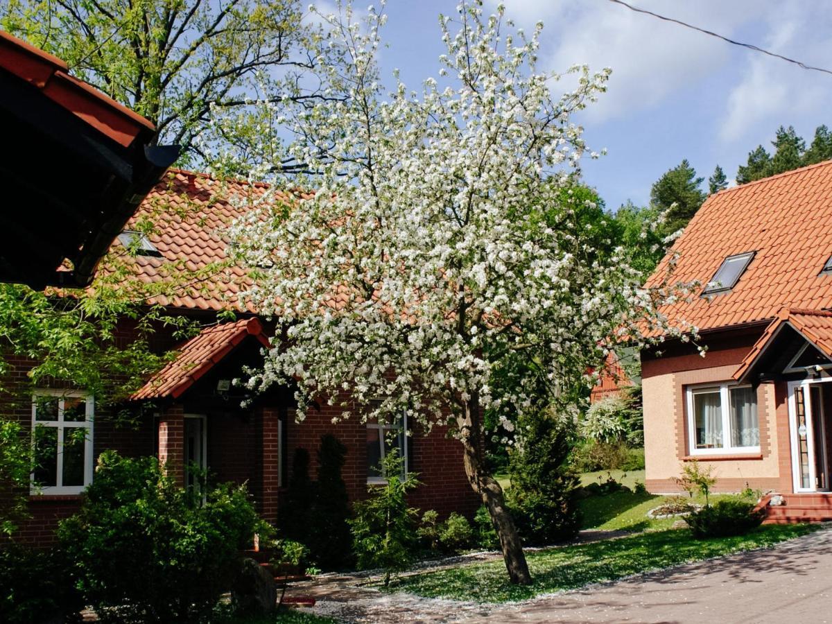 Villa Gosciniec Pod Debem à Wilimy Extérieur photo
